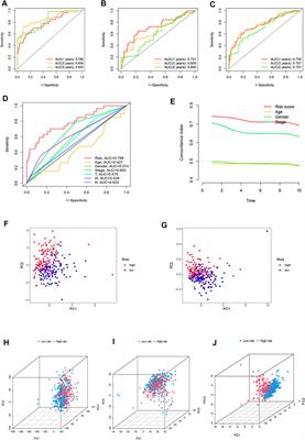 Oxidative Stress-Related lncRNAs Are Potential Biomarkers for Predicting Prognosis and Immune Responses in Patients With LUAD